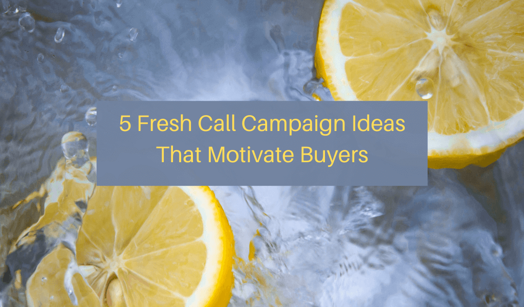 5 Fresh Call Campaign Ideas That Motivate Buyers