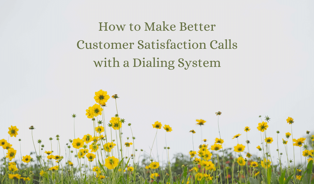 customer satisfaction calls